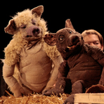Theater Urknall Drei Schweine