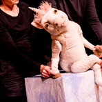Theater Urknall Ich bin Einhorn - wer bist du?